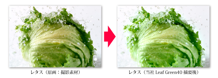 脳カラーイメージマッチング・レタス