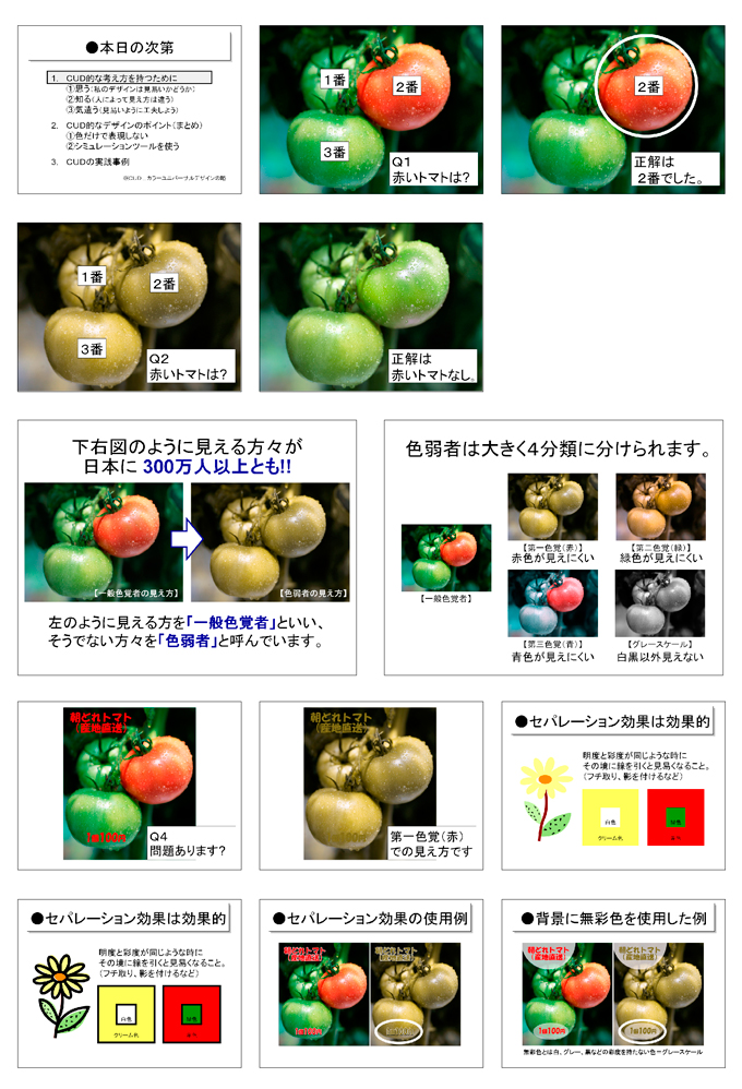 発表用資料1
